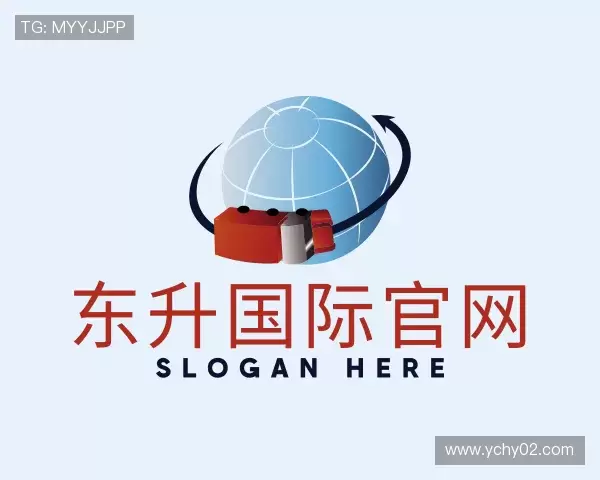 解读东升国际官网